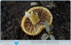 0_109341_fdebd1fe_orig.png