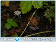 0_d4bc6_4c807fb0_orig.png