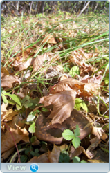 0_f513d_f7e6c547_orig.png