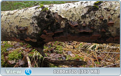 0_f6dc0_5a057436_orig.png