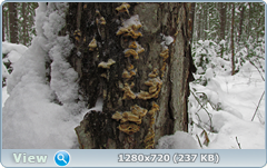 0_fa65d_8a965c34_orig.png