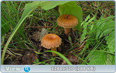 0_fb9ae_65a4f4b6_orig.png