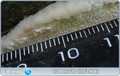 0_e94f4_78e2f770_orig.png