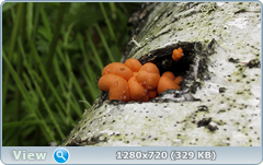 0_e95c6_d7d5881a_orig.png