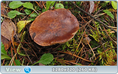 0_f2766_c56ee536_orig.png