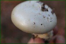 0_c5e48_4846d712_orig.jpg