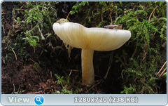 0_f2f76_61699d1b_orig.png