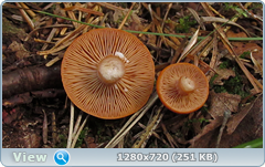 0_fba5a_379186b6_orig.png