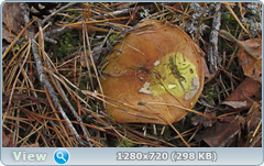 0_f3e58_93a2124a_orig.png