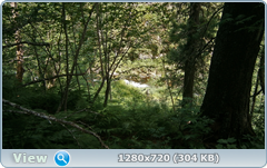 0_f961c_878a1d7c_orig.png