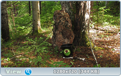 0_e6d21_c976c15d_orig.png