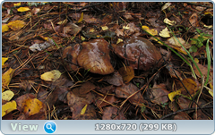 0_f2728_5981bb83_orig.png