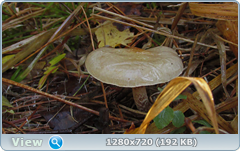 0_f301c_cac50534_orig.png