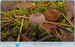 0_f27b6_ff34b4cf_orig.png