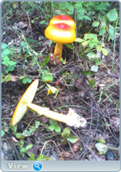 0_130968_8d5b2e26_orig.png