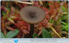 0_fbf42_2f471c28_orig.png