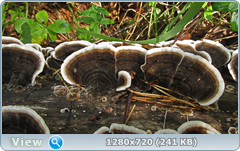 0_e9b21_1c92c111_orig.png