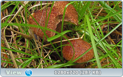 0_eacc6_fe268594_orig.png