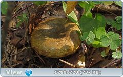 0_fb99a_502aec31_orig.png