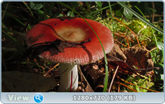 0_ea179_35e9a0c5_orig.png