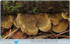 0_fc535_64bfa78_orig.png