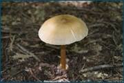 0_d257d_5527ed4c_orig.jpg