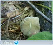 0_130d7c_b210e0bb_orig.png
