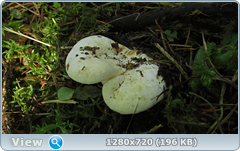 0_fb9f6_28c66bbd_orig.png