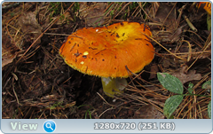0_eab17_ecfd70d0_orig.png