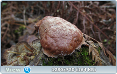 0_f3844_41ca969e_orig.png