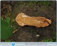 0_fb894_480a555c_orig.png
