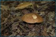 0_d2537_ecf155d5_orig.jpg