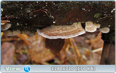 0_f5630_3d03e61_orig.png