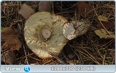 0_ef376_d8ac392b_orig.png