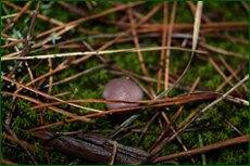 0_c71e1_6902b5a8_orig.jpg