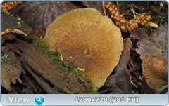 0_fc424_f1ee2ef2_orig.png