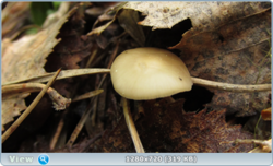 0_e3770_dbccf78b_orig.png