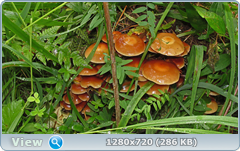 0_e90d0_c5846359_orig.png