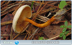 0_eb013_380670a7_orig.png