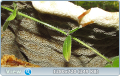 0_e9933_ec8b9dbc_orig.png