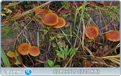 0_f2ff4_c866cefc_orig.png