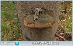 0_fc596_78f2aac5_orig.png