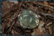 0_d250d_29215e32_orig.jpg