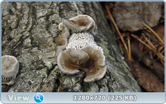 0_eab33_275300e3_orig.png