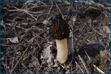 0_cc5f9_85018f30_orig.jpg