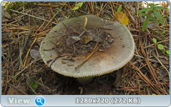 0_eab0d_11e9c8b_orig.png