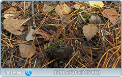 0_f279c_683f63dd_orig.png