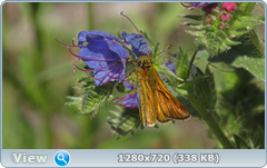 0_e7450_4e87ebcf_orig.png