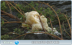 0_e9939_5314c0bb_orig.png