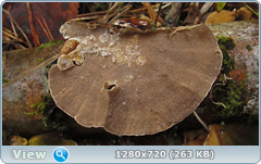 0_f6e46_5e308e0a_orig.png
